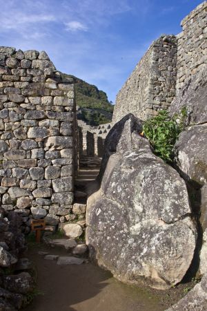 T Peru Machu Picchu 19