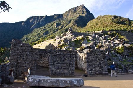 T Peru Machu Picchu 6