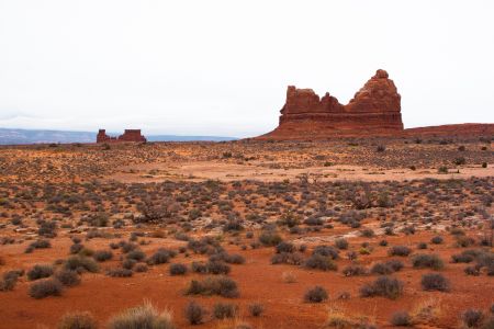 T Us Np Arches 1