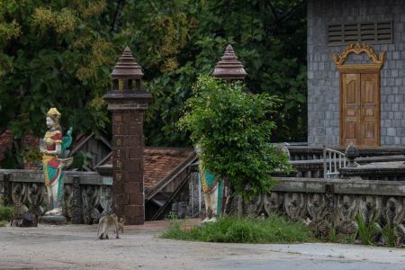 T Cambodia Kampong Cham 9