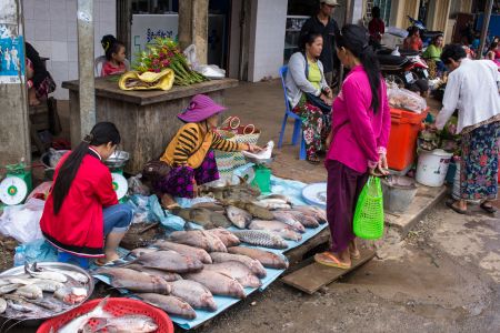 T Cambodia Krong Stung Treng 4