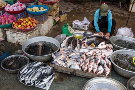 T Cambodia Krong Stung Treng 5