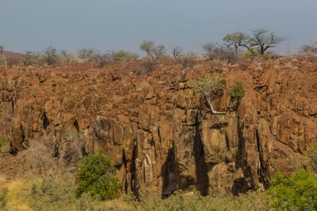 T Namibia Palmwag 1