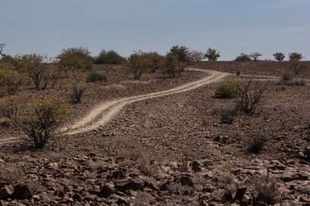 T Namibia Palmwag 2