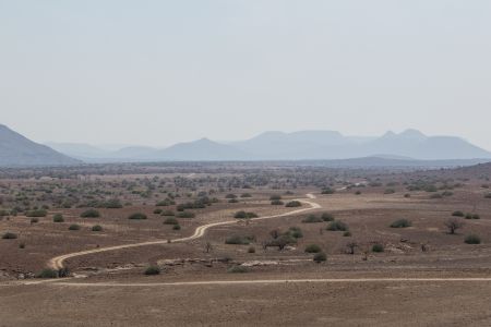 T Namibia Palmwag 4