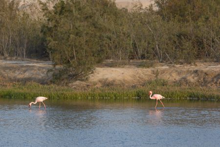 T Namibia Sceleton Coast 1