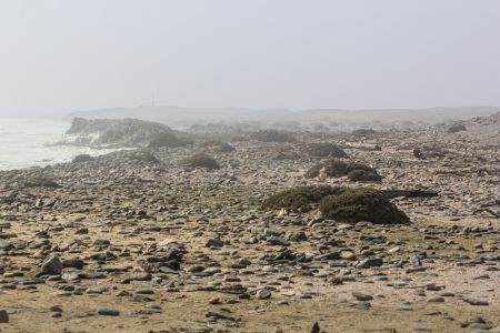 T Namibia Sceleton Coast 13