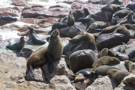 T Namibia Sceleton Coast 8