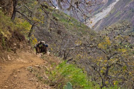 T Peru Andes Mountains 4