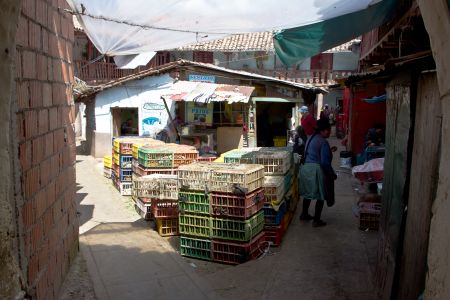 T Peru Cusco 10