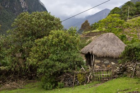 T Peru Yanama 15