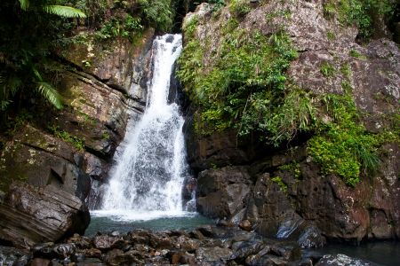 T Puerto Rico El Yunke 5